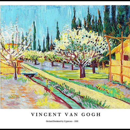 Vincent Van Gogh - Orchard Bordered by Cypresses Poster