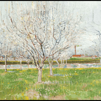 Vincent Van Gogh - Orchard in Blossom