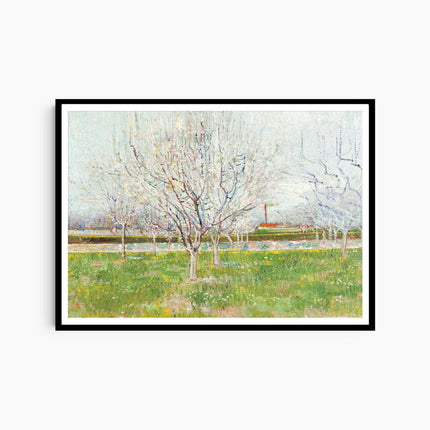 Vincent Van Gogh - Orchard in Blossom