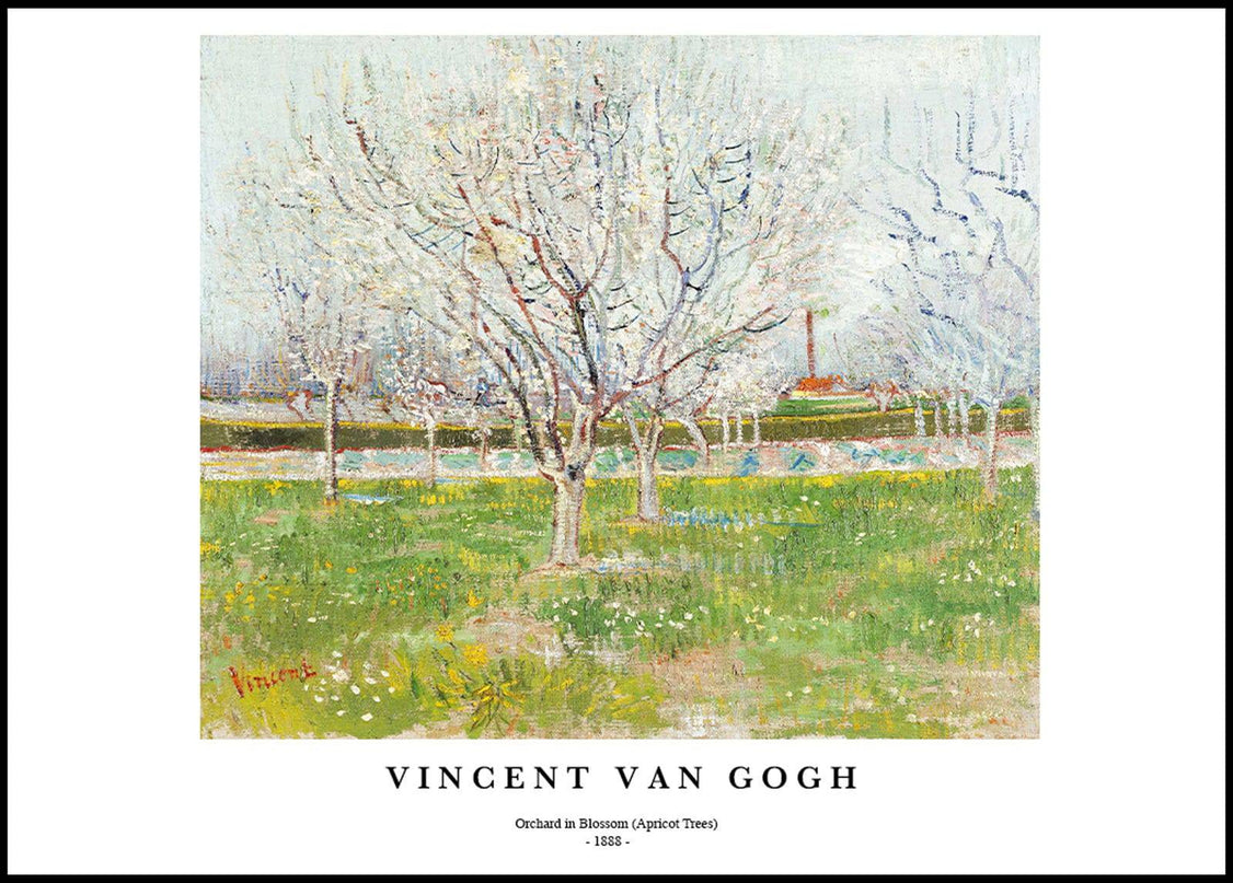 Vincent Van Gogh - Orchard in Blossom Poster