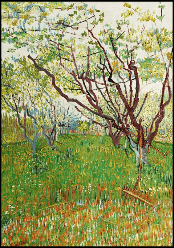 Vincent Van Gogh - The Flowering Orchard