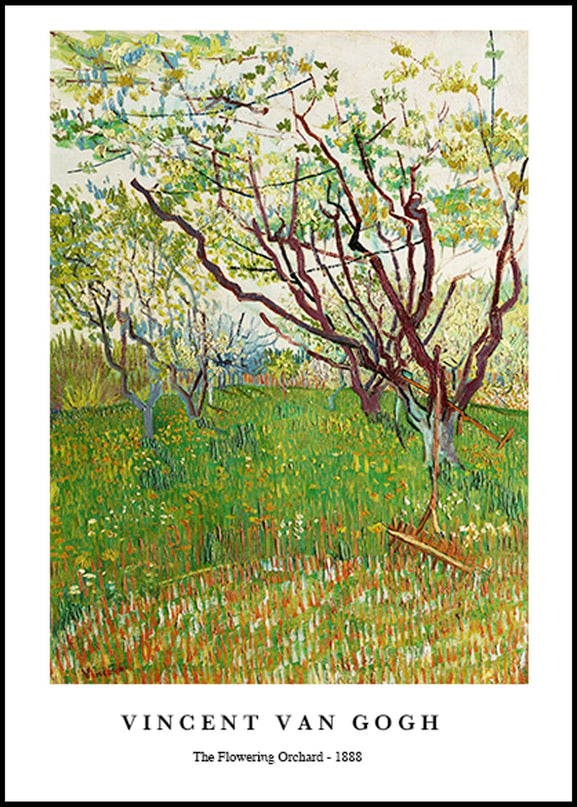 Vincent Van Gogh - The Flowering Orchard Poster