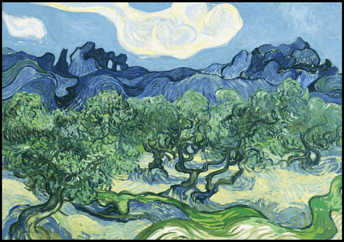 Vincent Van Gogh - The Olive Trees