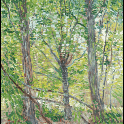 Vincent Van Gogh - Trees