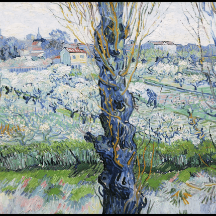 Vincent Van Gogh - View of Arles
