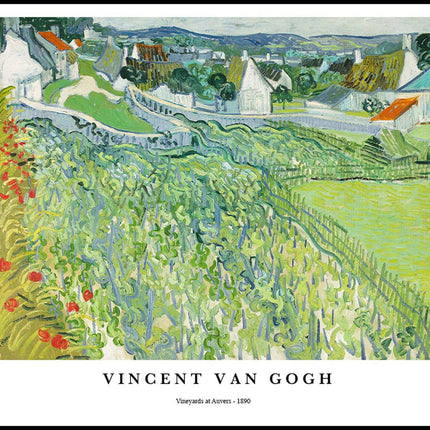 Vincent Van Gogh - Vineyards at Auvers Poster