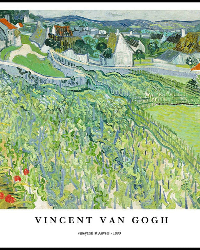 Vincent Van Gogh - Vineyards at Auvers Poster