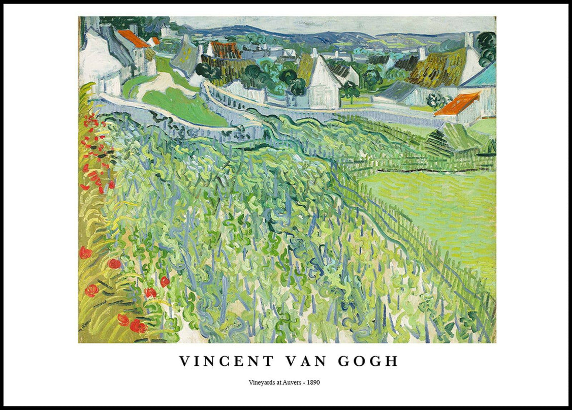 Vincent Van Gogh - Vineyards at Auvers Poster