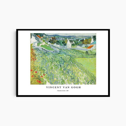 Vincent Van Gogh - Vineyards at Auvers Poster
