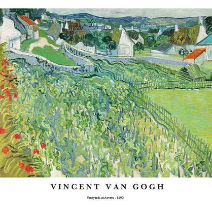 Vincent Van Gogh - Vineyards at Auvers Poster