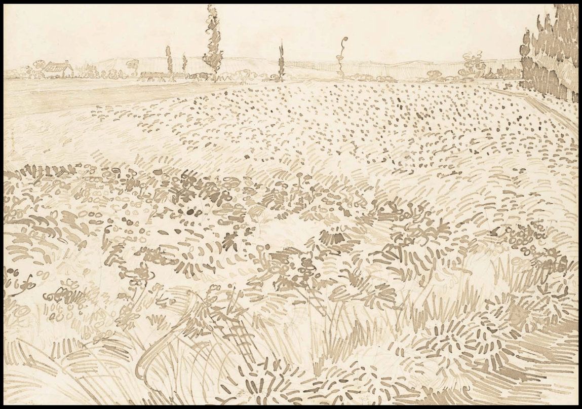 Vincent Van Gogh - Wheat Field