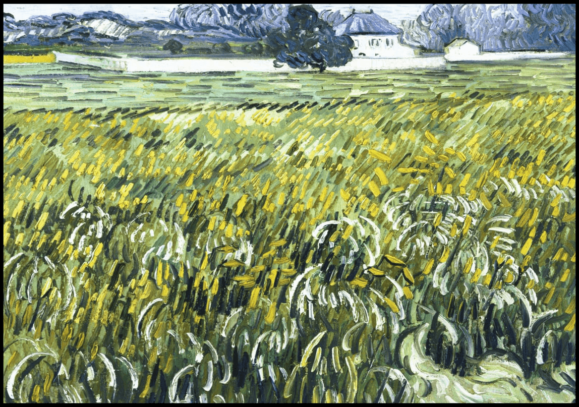 Vincent Van Gogh - Wheat Field at Auvers with White House