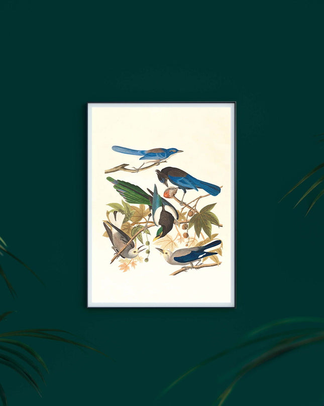 Vintage Birds Poster No1
