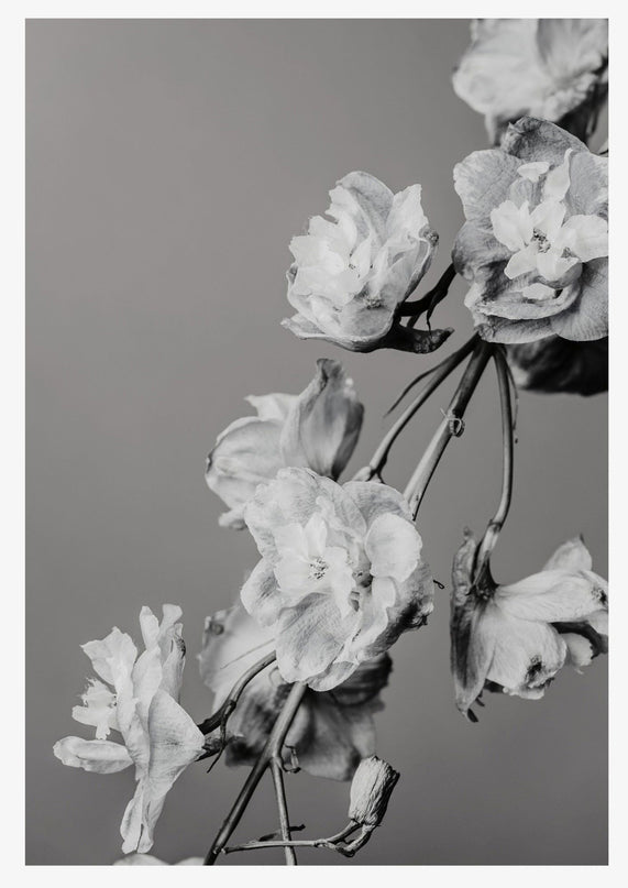 Vintage Black and White Floral Poster