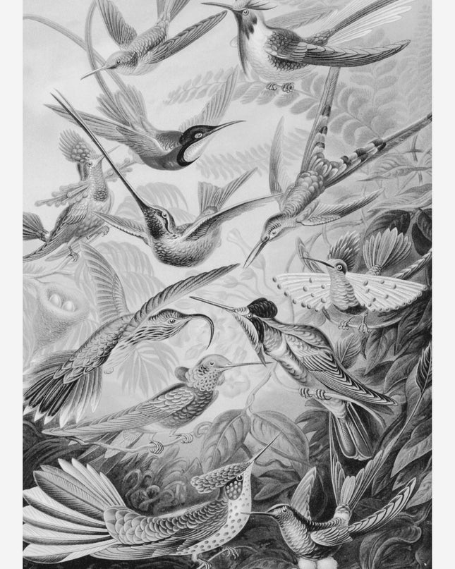 Vintage Flying Birds Poster