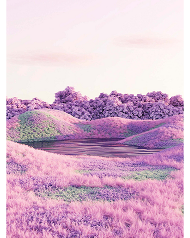 Violet Land Poster