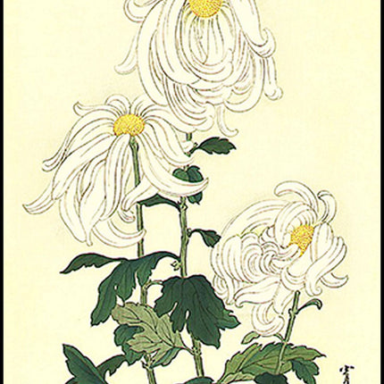 Watanabee Seitei - White Chrysanthemums
