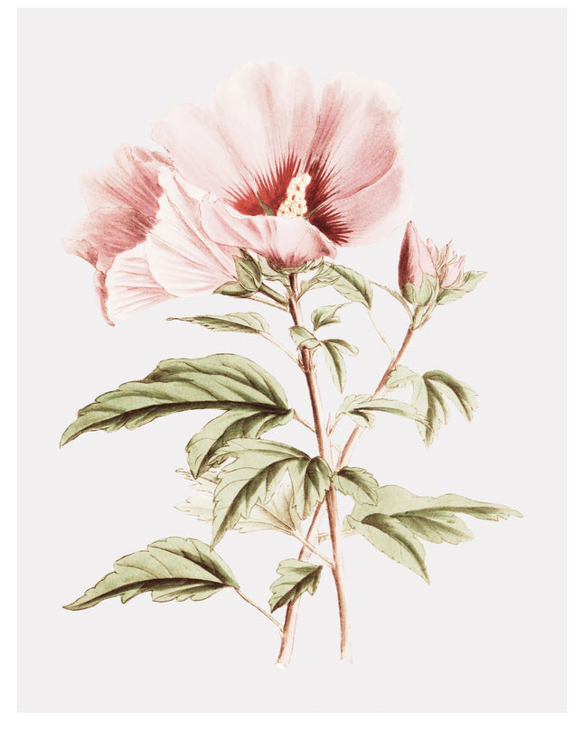 Watercolor Rose Bouquet Art Poster