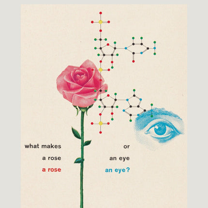 What Makes a Rose ? Art Exhibition Poster