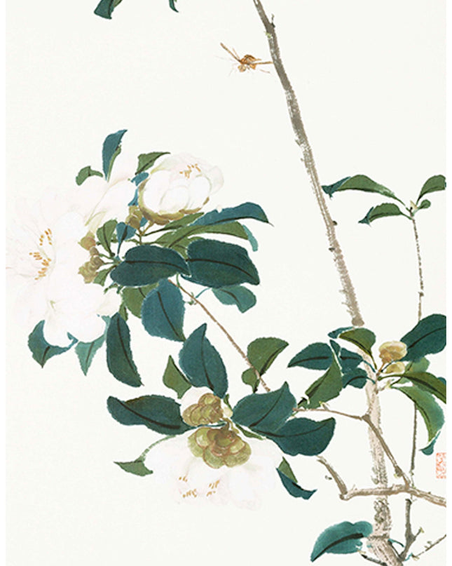 White Orchids Poster