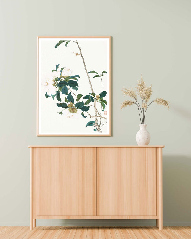 White Orchids Poster