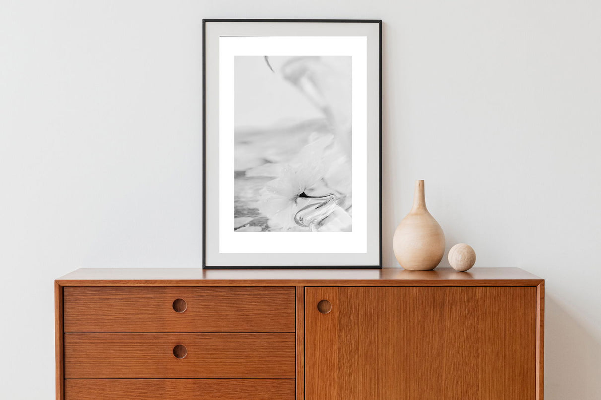 White Sakura Flower Poster