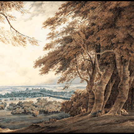William Turner - Windsor