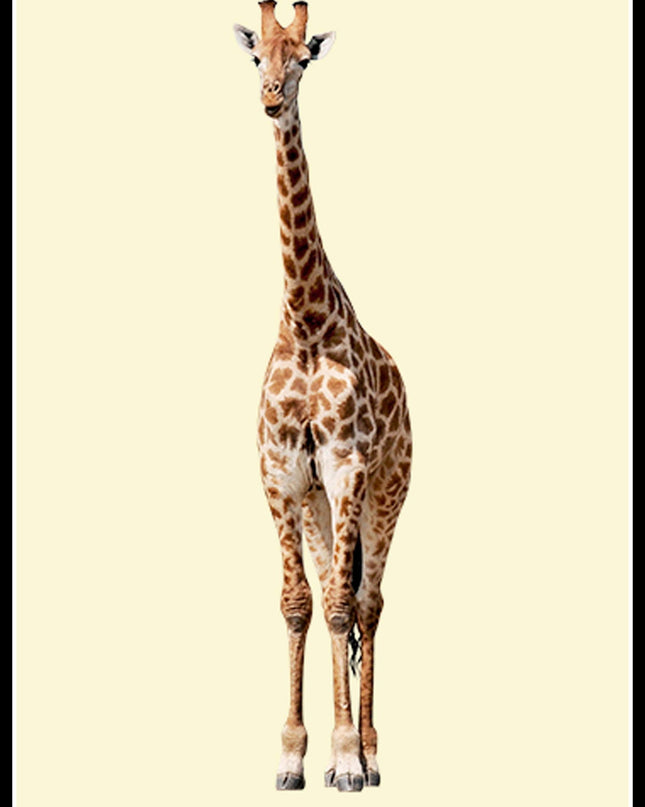 Yellow Giraffe Poster