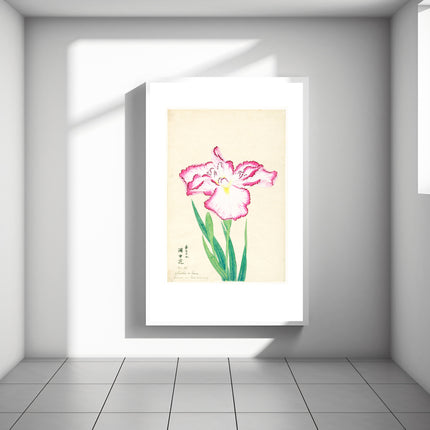 Flower in the Wine Cup