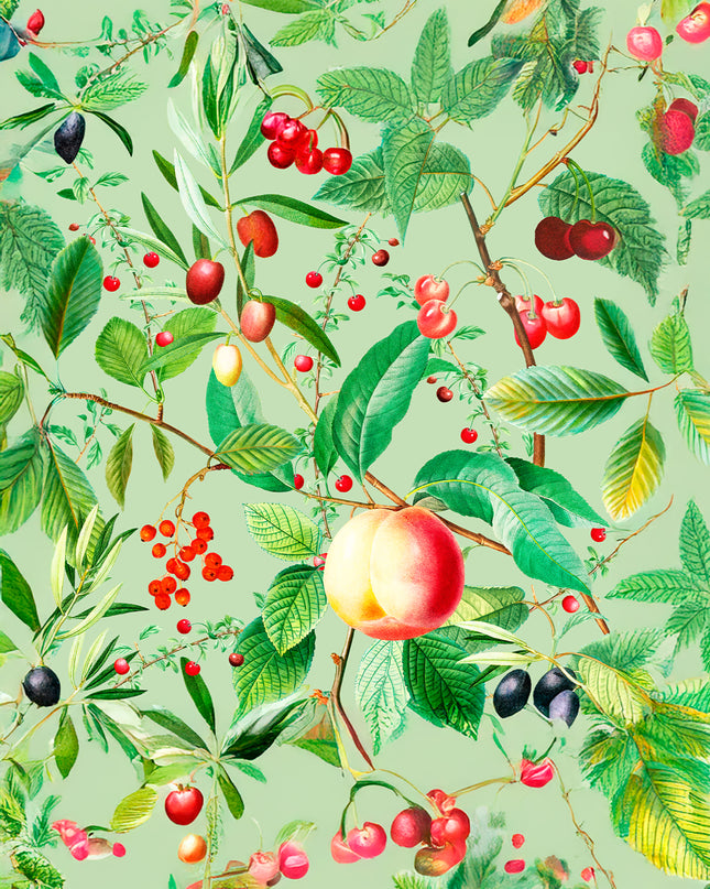 Golden Apple Poster