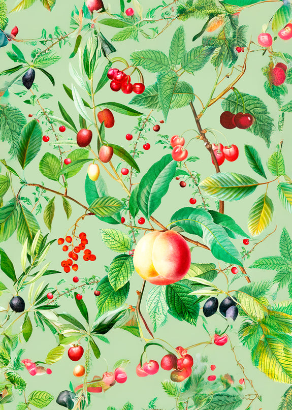 Golden Apple Poster