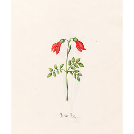 Magdelena Rosina Funck - Indian "Bon"