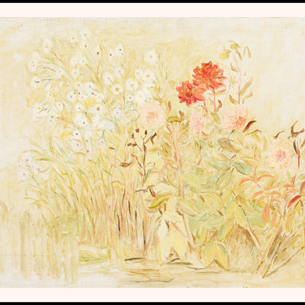 Small Garden