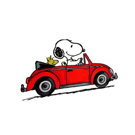 Snoopy In a Red Car